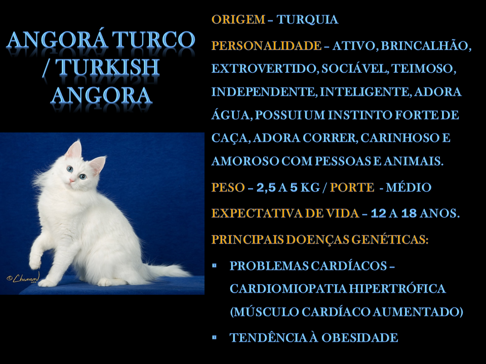 Slide7 Slide7