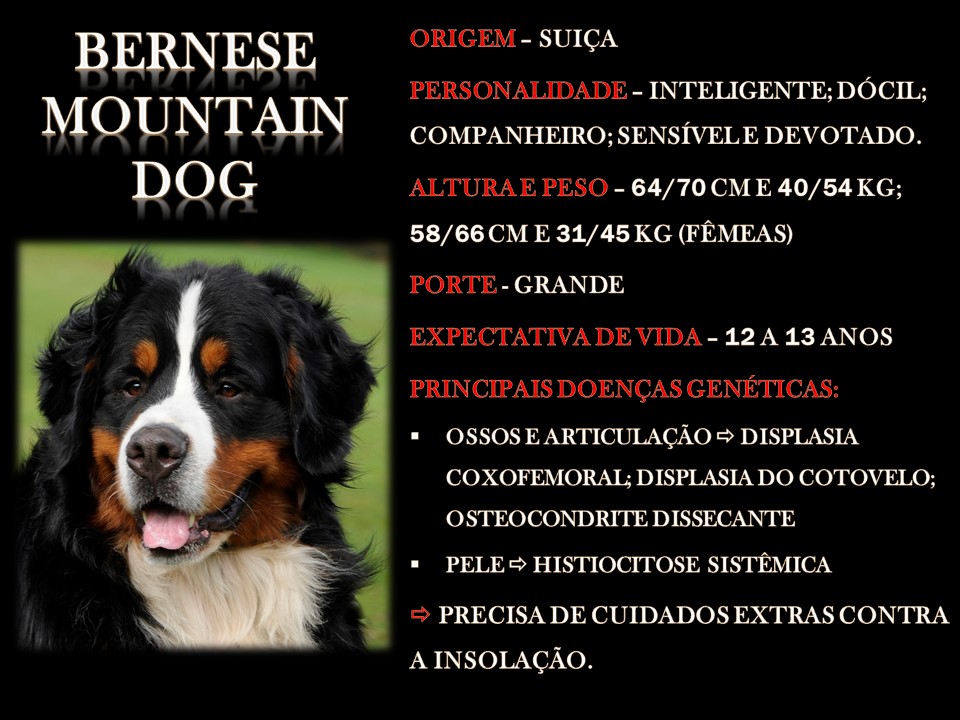 Slide10 Slide10
