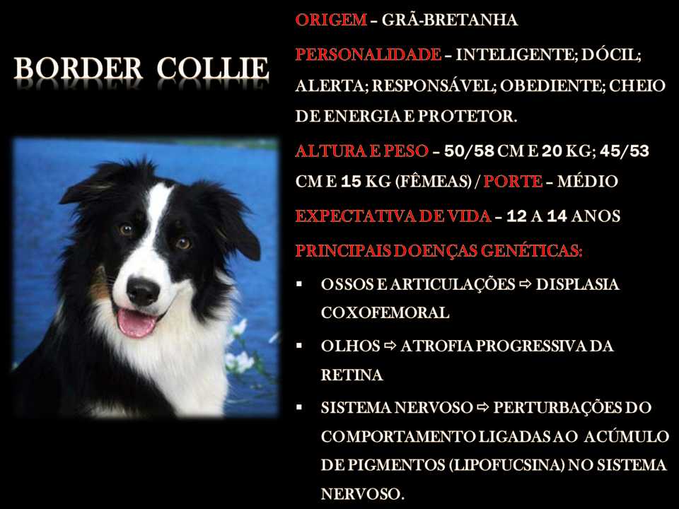 Slide13 Slide13
