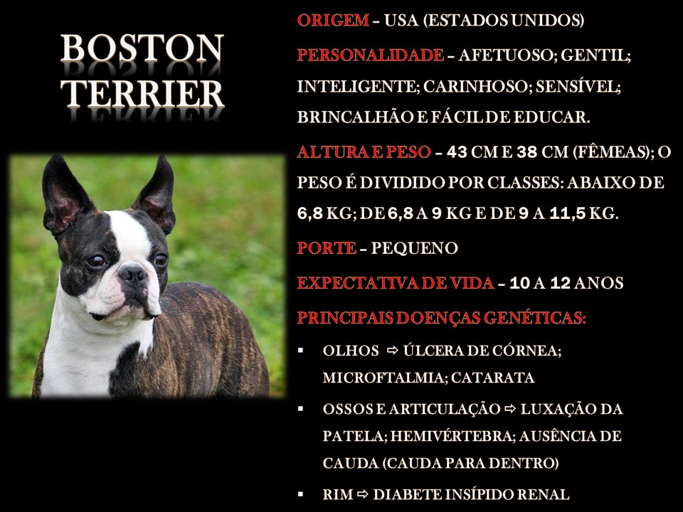 Slide15 Slide15